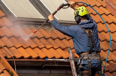 Démoussage et hydrofuge de toiture à Conte